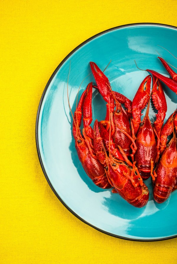 ¿Cómo seleccionar el bolso perfecto para un día de compras sin perder estilo?