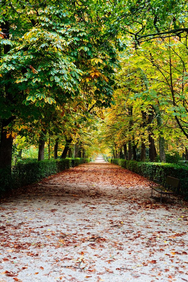 ¿Qué pasos seguir para organizar un retiro de meditación y bienestar en la naturaleza?